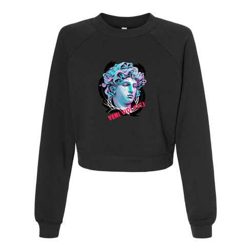 VENI VIDI VICI Bella canvas hoodie 7505