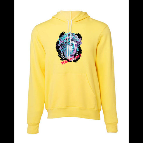 Athena Godess VENI VIDI VICI Bella canvas hoodie 3719