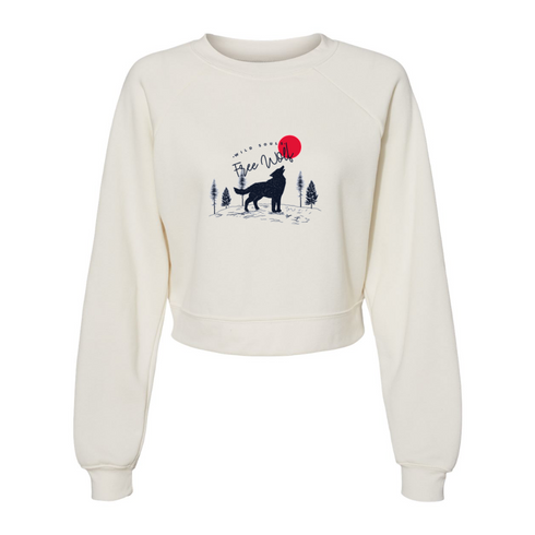 Timberwolves Bella canvas hoodie 7505