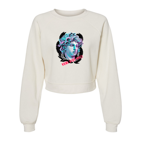 VENI VIDI VICI Bella canvas hoodie 7505
