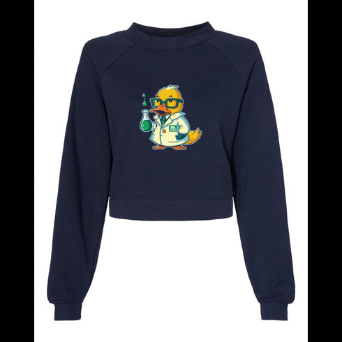 Dr. Duck Bella canvas hoodie 7505