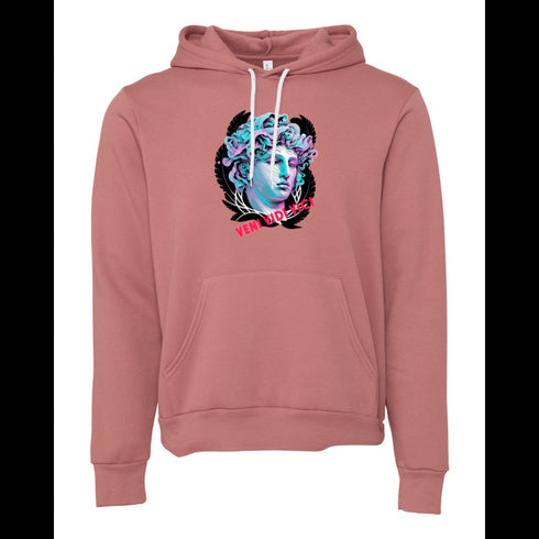 Athena Godess VENI VIDI VICI Bella canvas hoodie 3719
