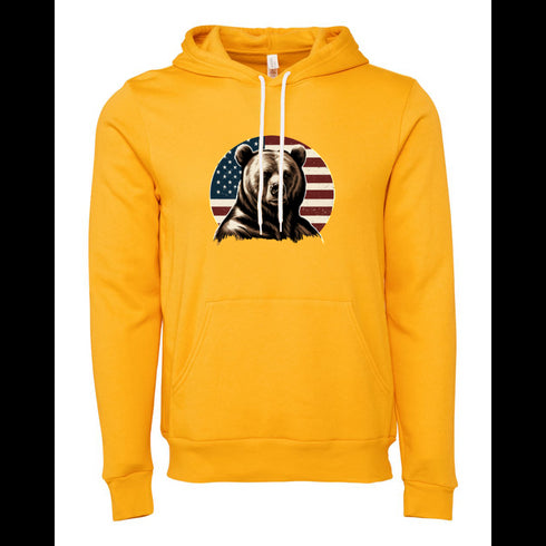 Shine brightly Bella canvas hoodie 3719