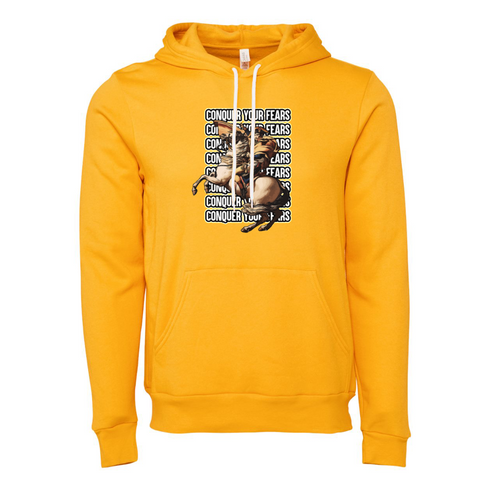 CONQUER YOUR FEARS Bella canvas hoodie 3719